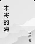 未寄的海 封面