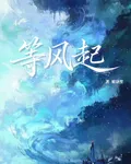 我在原地等風起 封面