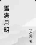 雪滿月明 封面