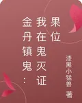 金丹鎮鬼：我在鬼滅證果位 封面
