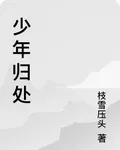 少年歸處 封面