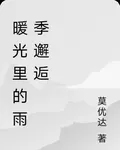 暖光裏的雨季邂逅 封面
