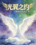光翼之約 封面
