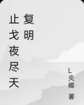 止戈夜盡天覆明 封面