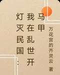 燈滅民國：我在亂世開馬甲 封面
