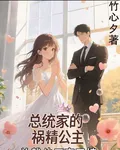 總統府的禍精公主總裁他又寵又撩 封面