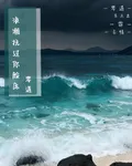 浪潮撫過你臉龐 封面