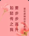 如懿傳之我要步步高昇 封面