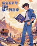 藍寶石礦：帶我從破產到富豪 封面