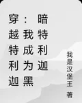 穿越特利迦：我成爲黑暗特利迦 封面