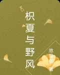 枳夏與野風 封面