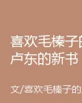 喜歡毛榛子的盧東的新書 封面