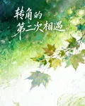 轉角的第二次相遇 封面