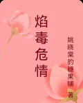 焰毒危情 封面
