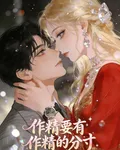 作精要有作精的分寸 封面