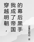 穿越明朝，我成了帝國的幕後黑手 封面