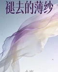 褪去的薄紗 封面