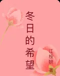 冬日的希望 封面