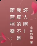 蔚藍檔案：我真的不是壞人啊！ 封面