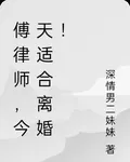 傅律師，今天適合離婚！ 封面