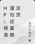 HP：將浪漫歸還霍格沃茨 封面