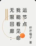 無限迴廊：我能看見命運節點 封面