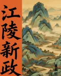 江陵新政 封面