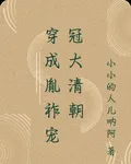 穿成胤祚寵冠大清朝 封面