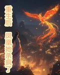 重生後，鳳凰她殺瘋了 封面