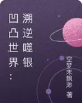 凹凸世界：溯逆噬銀 封面