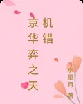 京華弈之天機錯 封面