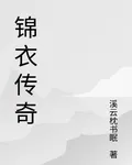 錦衣傳奇 封面