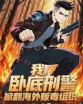 我，臥底刑警，掀翻海外販毒組織 封面