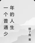 一個普通少年的人生 封面