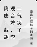 隋唐：截胡觀音婢，李二氣哭了 封面