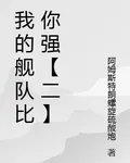 我的艦隊比你強【二】 封面