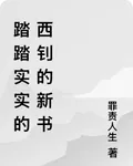 踏踏實實的西釗的新書 封面