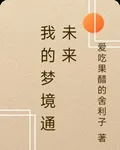 我的夢境通未來 封面