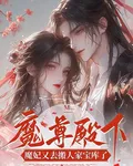 魔尊殿下，魔妃又去搬人家寶庫了 封面