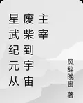 星武紀元從廢柴到宇宙主宰 封面