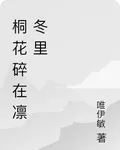 桐花碎在凜冬裏 封面