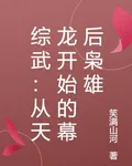 綜武：從天龍開始的幕後梟雄 封面