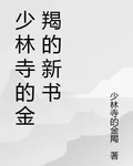 少林寺的金羯的新書 封面