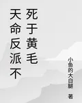 天命反派不死於黃毛 封面