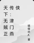 天下無賊正傳：津門燕俠 封面