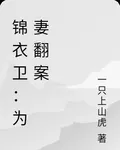 錦衣衛：爲妻翻案 封面