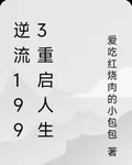 逆流1993重啓人生 封面