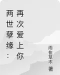 兩世孽緣：再次愛上你 封面