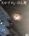 黑暗中的一抹亮光 封面