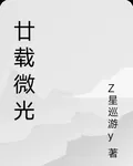 廿載微光 封面